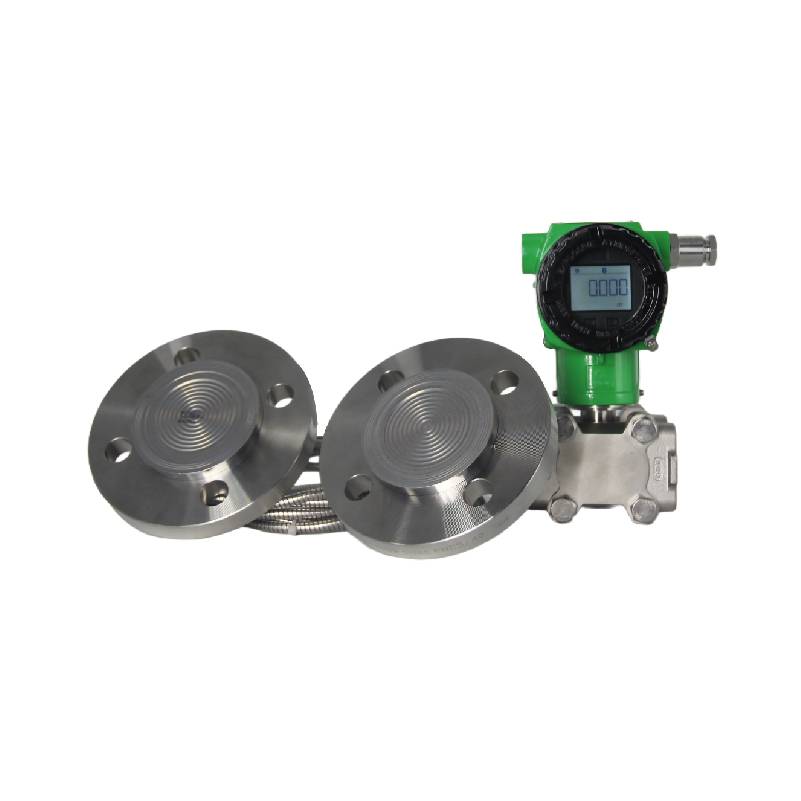 Double Flange Level Transmitters