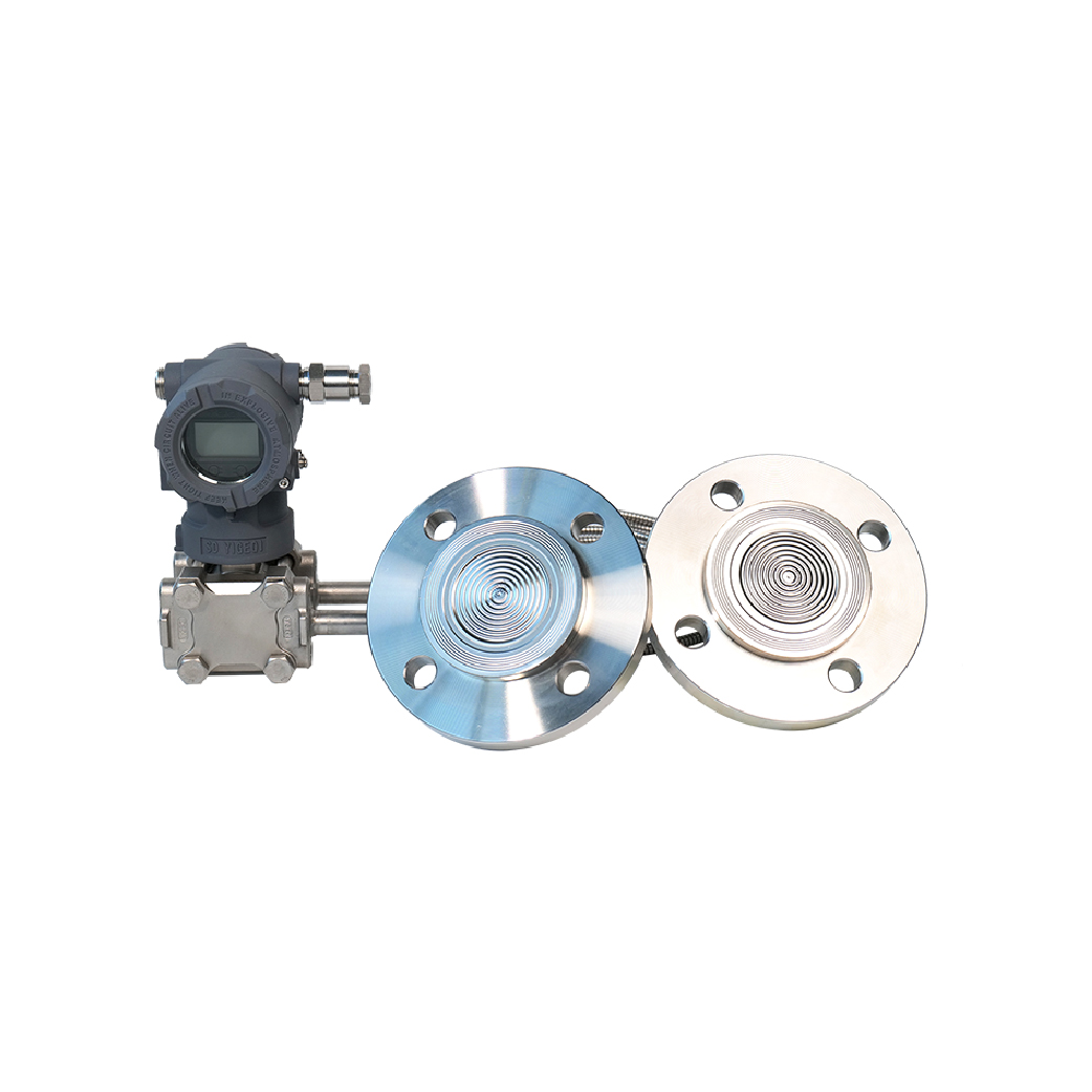 Double Flange Level Transmitter