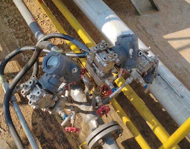 Double flange level transmitter
