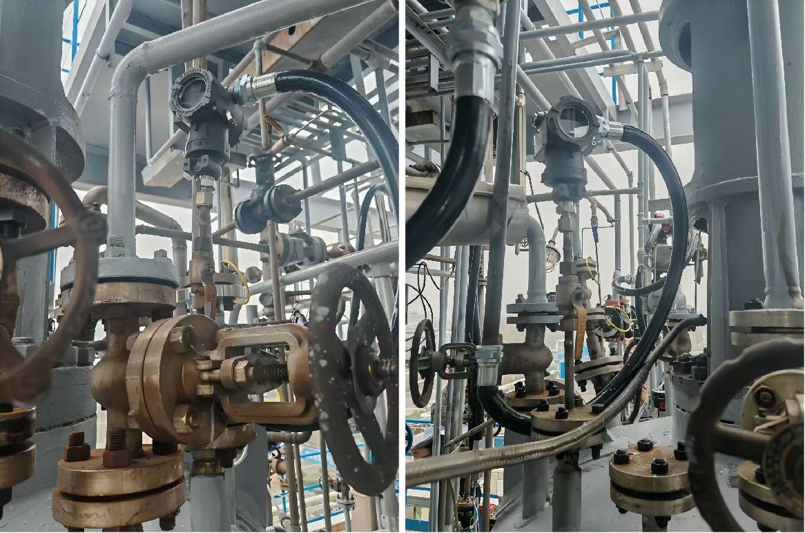 Double flange level gauge